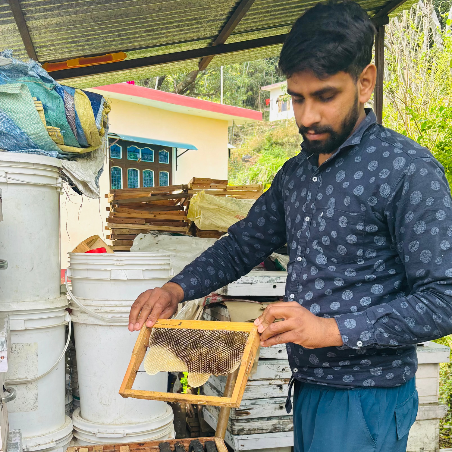 Nesta Botanicals Honey sourcing